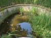 Mailand Botanischer Garten von Brera